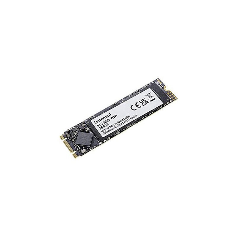 SSD Intenso 256GB TOP M.2 2280 SATA3 intern 3832440