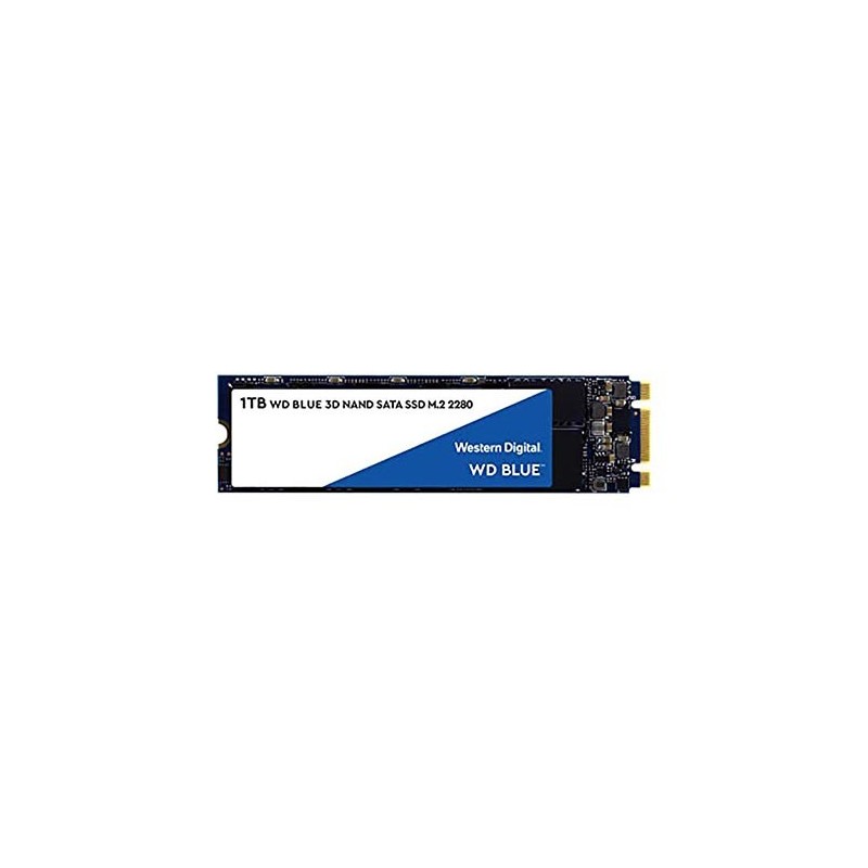 SSD WD Blue 1TB SA510 Sata3 M.2 WDS100T3B0B