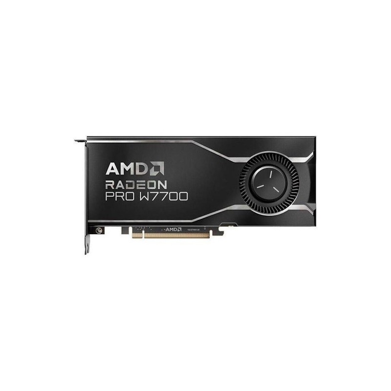 VGA AMD RADEON PRO W7700 16GB (100-300000006)